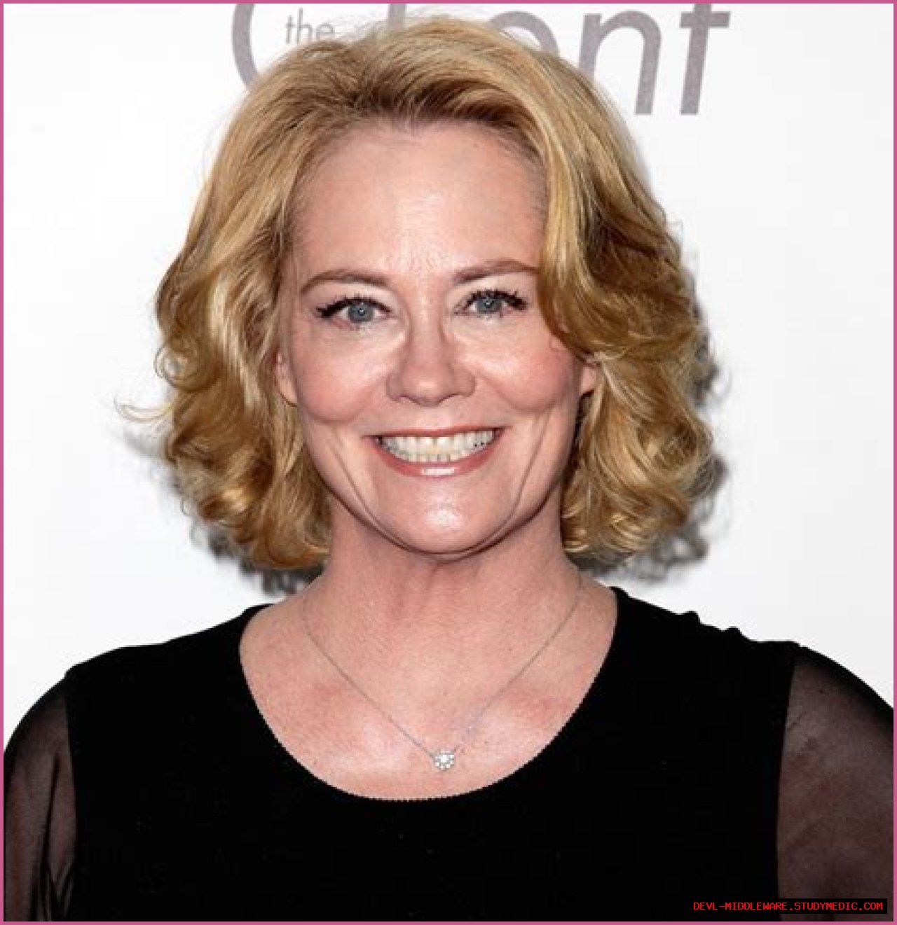 Cybill Shepherd: A Journey Through The Life Of An Iconic Actress