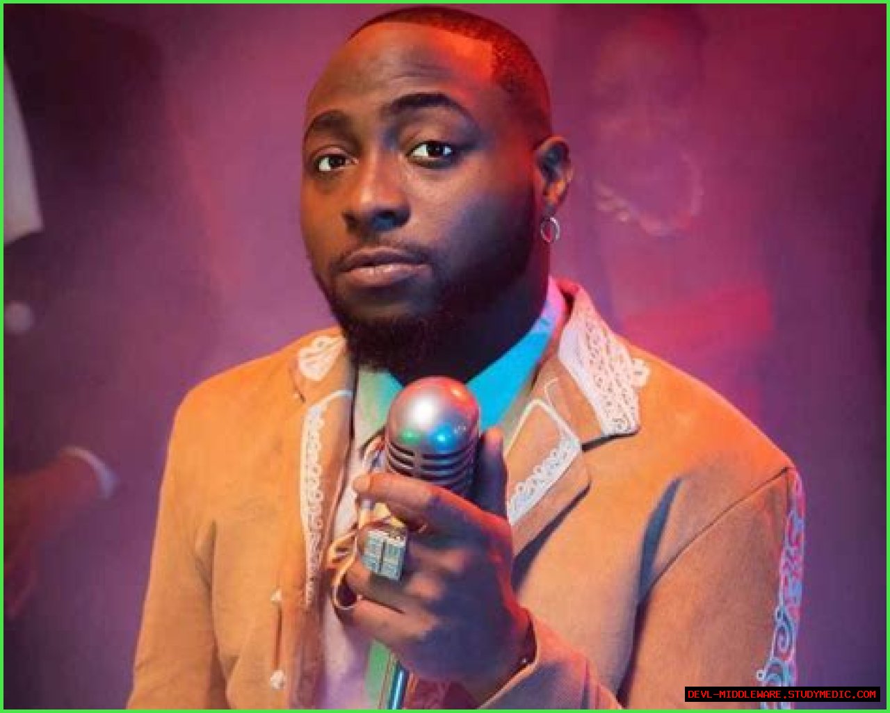 Davido Net Worth 2024: The Rise Of A Global Music Icon