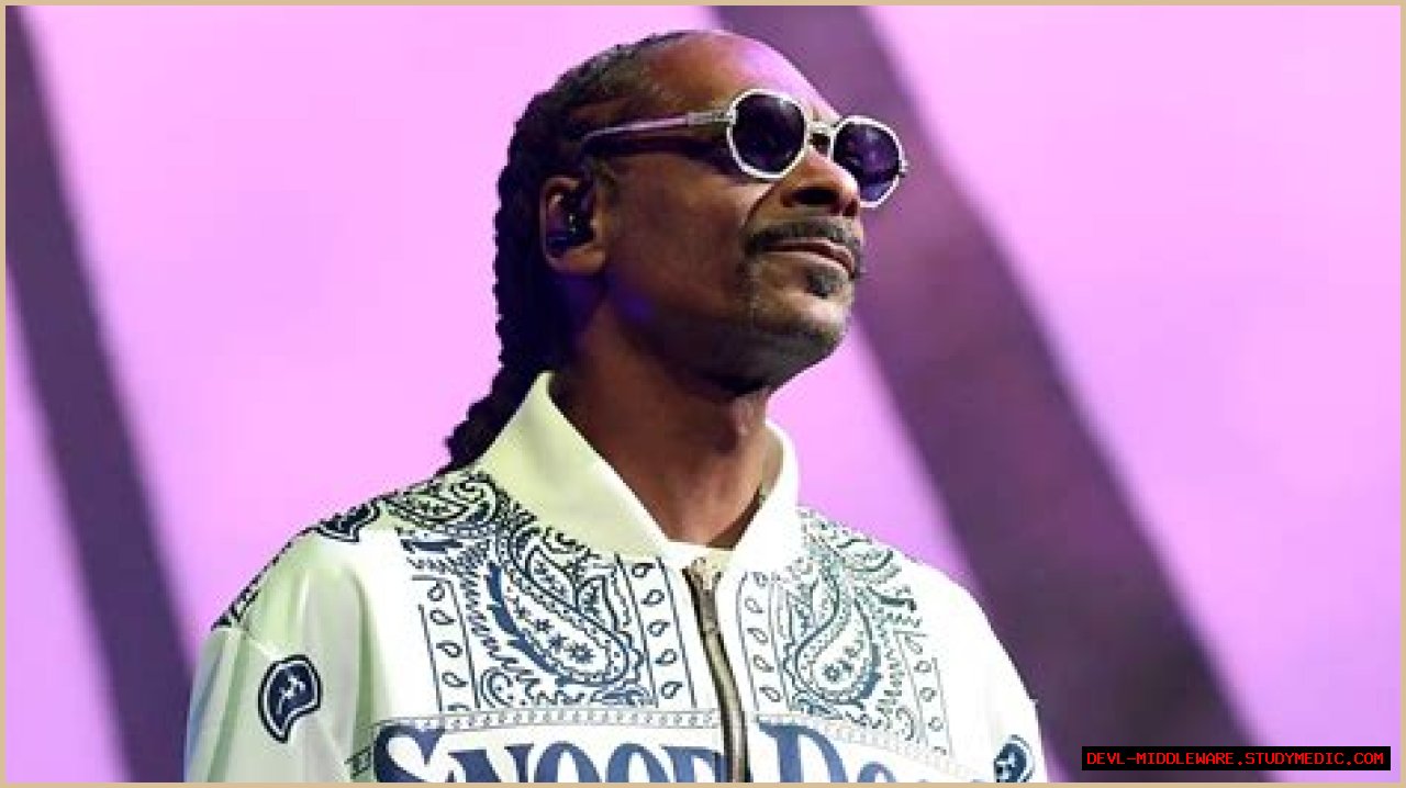 Unraveling The Truth: Does Snoop Dogg Have A Felony?